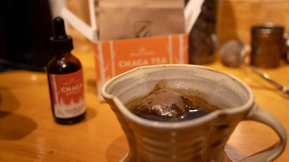 A warm and inviting arrangement showcases a steaming cup of chaga tea, with a bottle of chaga extract and its packaging in the background, all set on a wooden countertop, exuding comfort and health