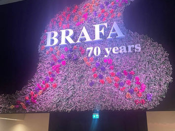 BRAFA 2025 — юбилейный выпуск престижной ярмарки искусства