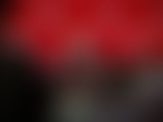 Woman speaker at international event