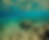 Clear blue underwater shot with no animals or fish, and no dry land showing.png