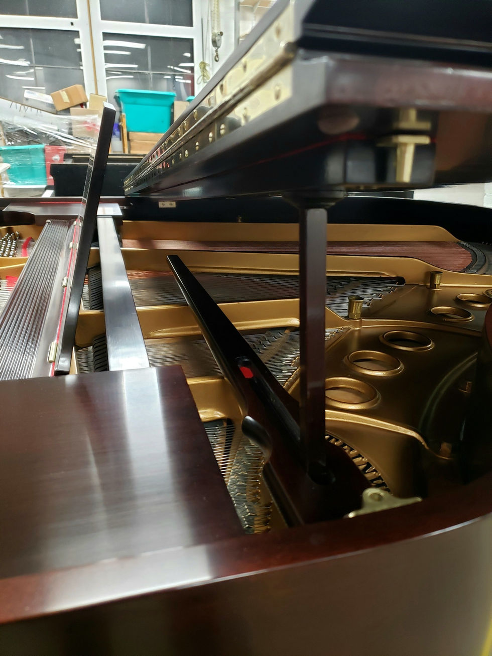 545758730_10237386408135963_1313312435643244445_n