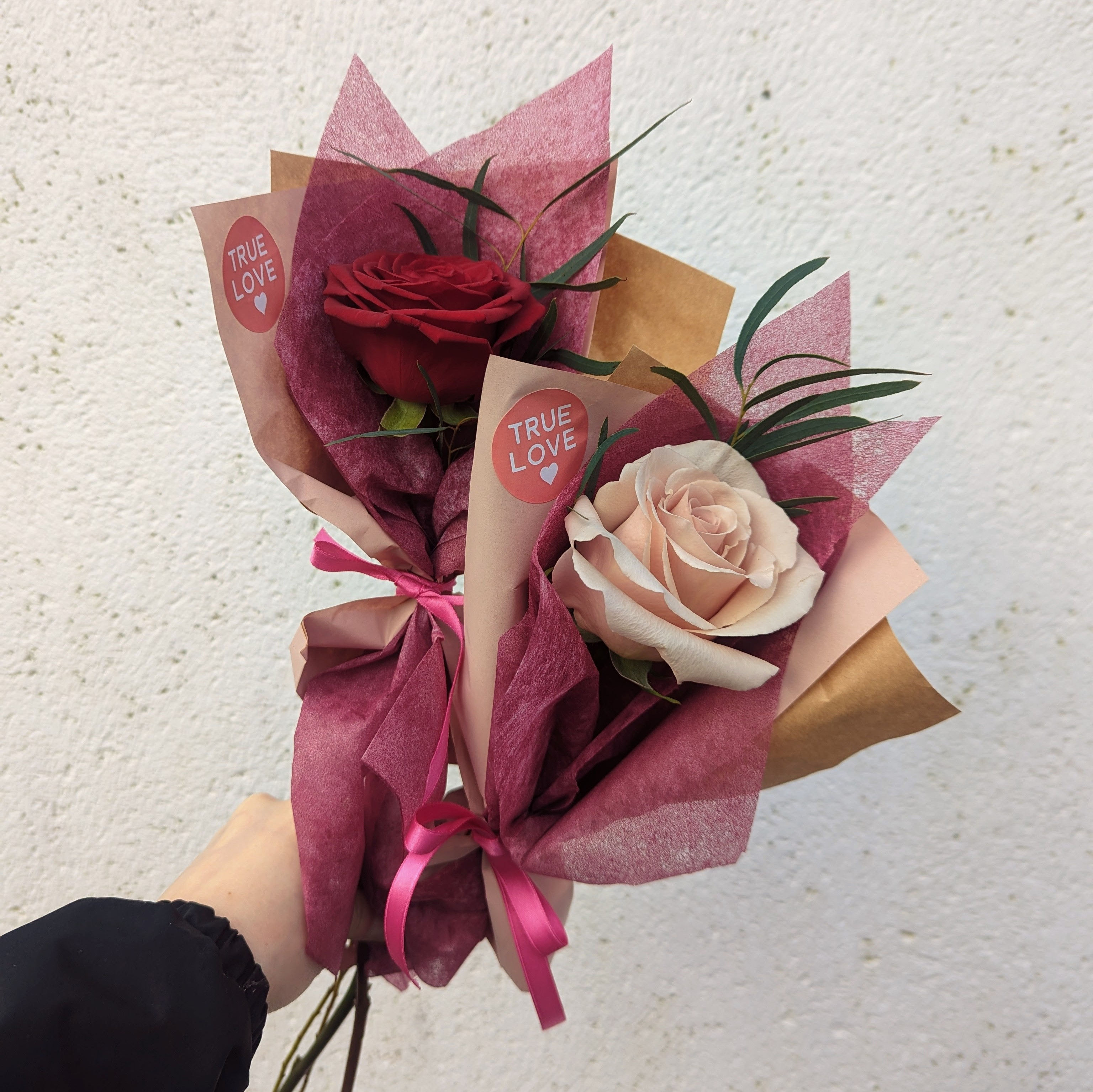 Be My Valentine Rose