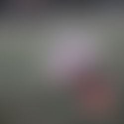 Youth sports officials walking away