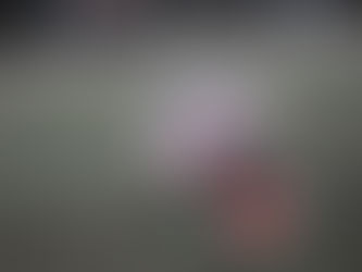 Youth sports officials walking away