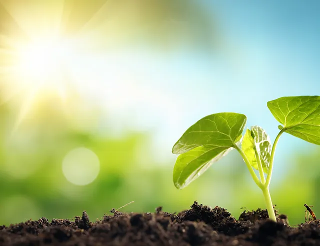 楽器 エレメント