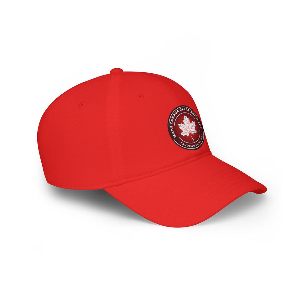 Thumbnail: Low Profile Freedom Baseball Cap