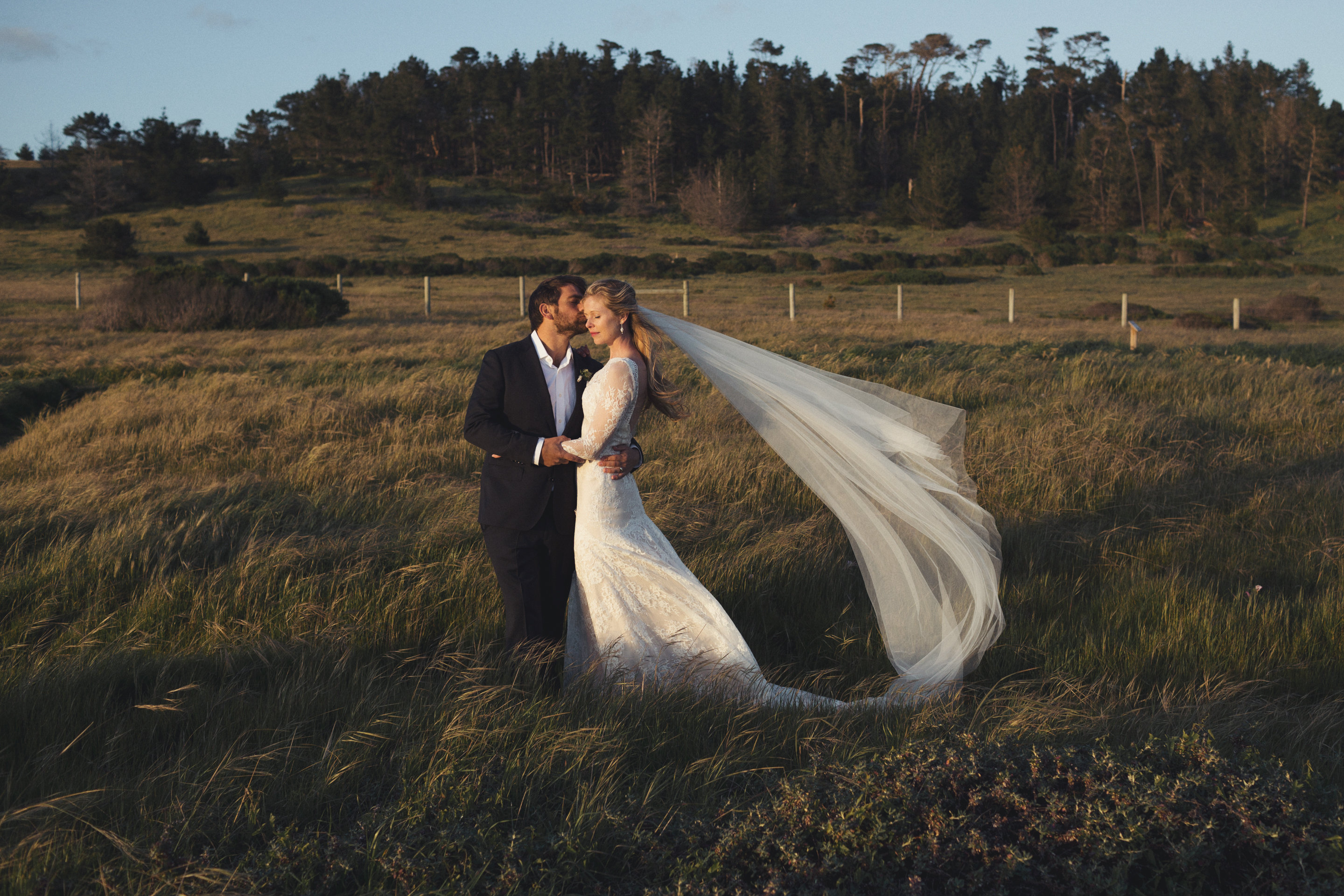 Windswept Sunset Pictures