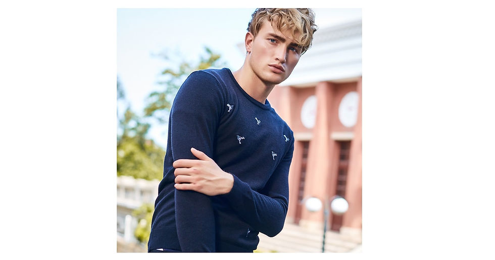 Thumbnail: White pigeon Knit Pullover