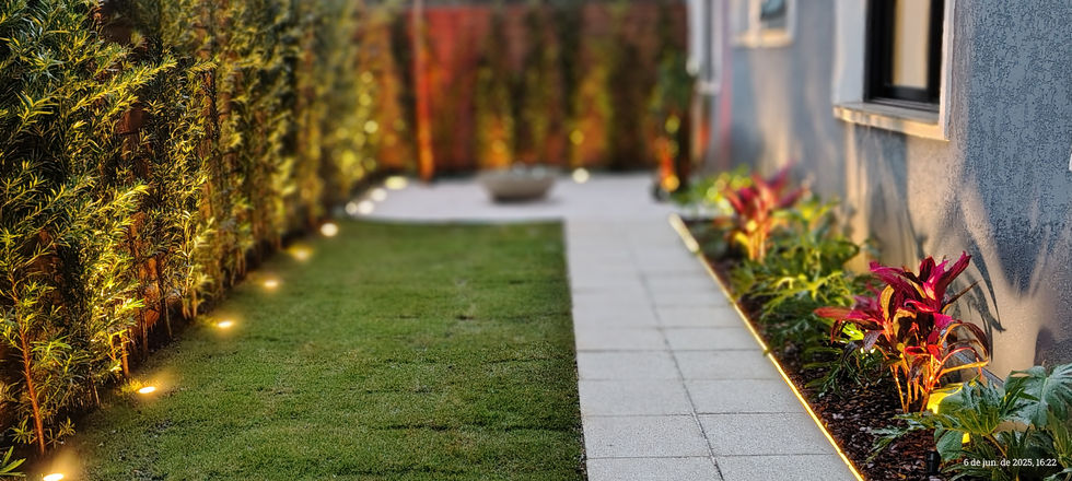 IMG_20250606_162232866_HDR_PORTRAIT