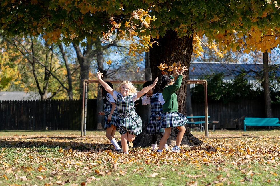 20241112 - Autumn Recess Shots - 008