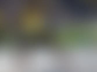 SWINGING A TORCH 13.0 - JAN 12-JAN 18, 2024