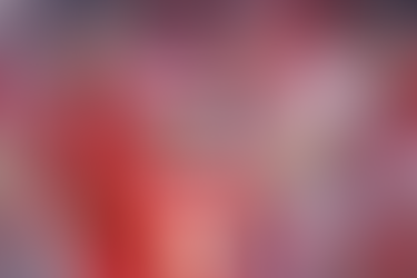 SWINGING A TORCH 14.0 - JAN 19-JAN 25, 2024