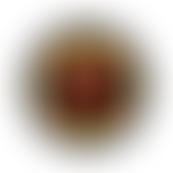 INTRODUCING THE OFFICIAL PRO FAN LEAGUE LOGO