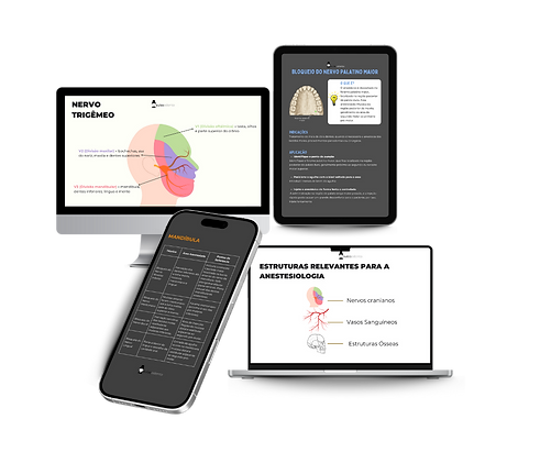 Design sem nome (58).png