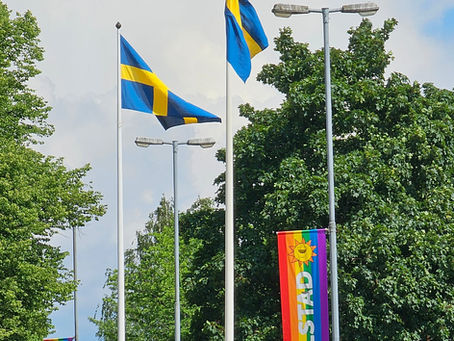 Nationaldagen måste bli mer än kaffe, tal och fanor