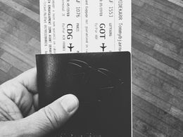 Morgonflyget till Paris