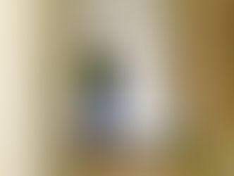 Short Film Receives Critique from The Monthly Film Festival