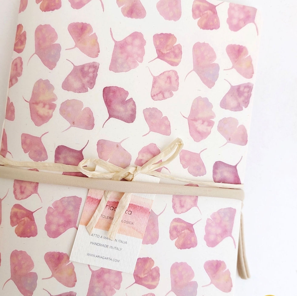 Miniatura: Ginkgo Mini Rosa, Journal A5 + box + stickers