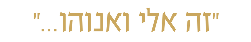 מה מחפשים היום (8).png