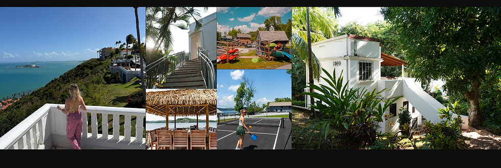 FMC PORTFOLIO -8.png