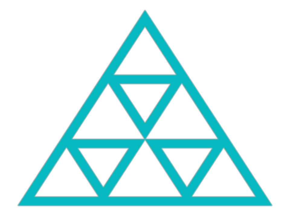 TAM ARI (1).png