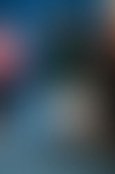 ÉMMY, nouvelle élue