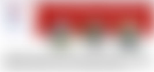 SÉCURITÉ DES CYCLISTES