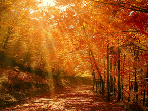Take time for your self-care this Autumn