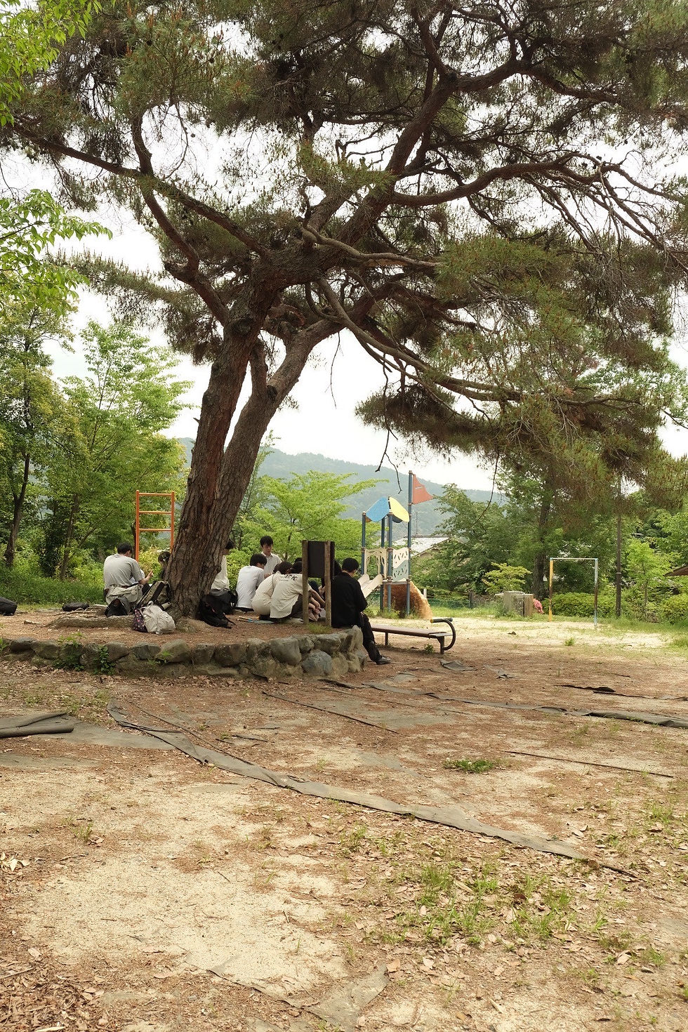 吉田山公園(2025年5月21日撮影)