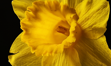 Screenshot 2025-07-17 at 20.37.40.png