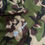 Thumbnail: Spade Pants Camo