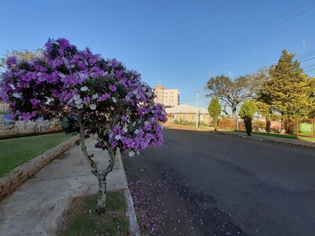 Primavera começa sob efeito do La Niña no Estado