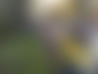Jovem de 20 anos morre em acidente na BR-285 em Panambi