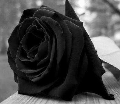 Tenente Portela - Nota de falecimento