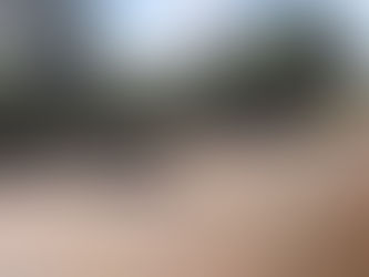 Criança de 11 anos morre vítima de atropelamento no dia do seu aniversário em Constantina