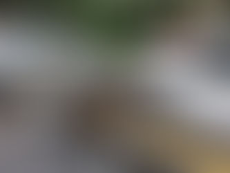 Morre segunda vítima do acidente ocorrido sábado na RS 342 em Horizontina