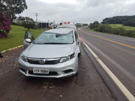 Cavalo solto causa acidente na BR-386 em Soledade
