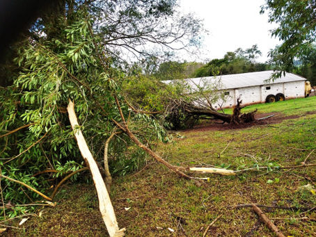 Vento forte provocou estragos em Lajeado Jacaré, no Interior de Crissiumal