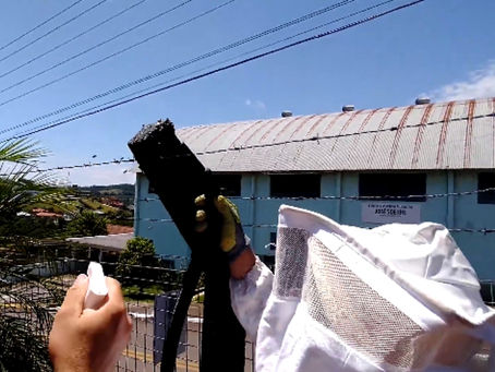 Bombeiros atendem ocorrência de enxame de abelhas em escola de Itapiranga SC