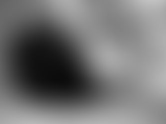 Notas de falecimento - Tenente Portela