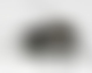 Casos de dengue aumentam 113,7% nos quatro primeiros meses de 2022