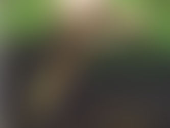 A woman lying nude on some moss by a stream. Her hair is in the water as she lies over the bank. 