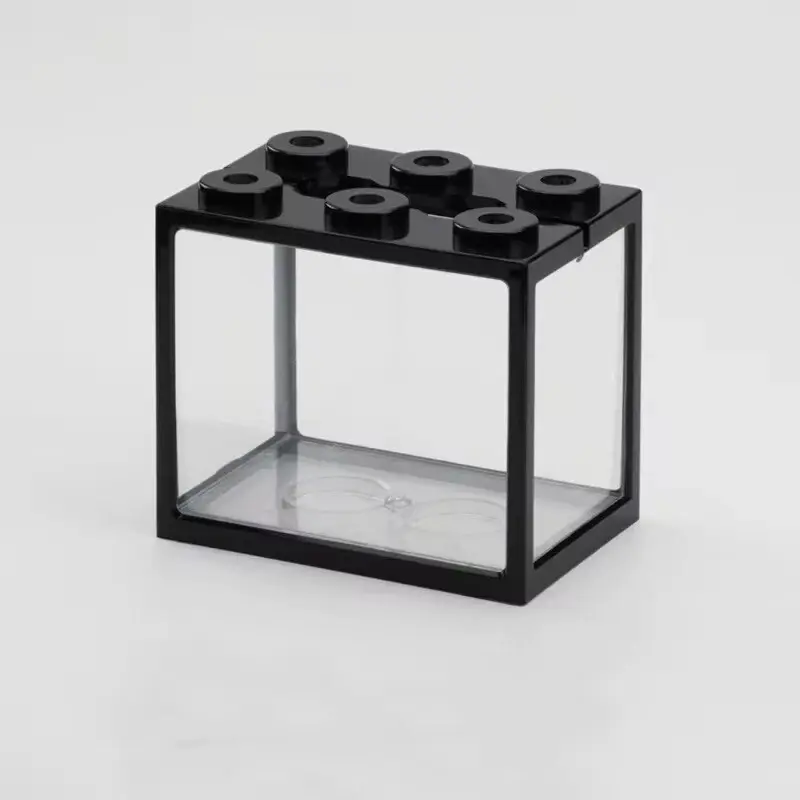 Thumbnail: Small clear fish tank with black frame and lid openings