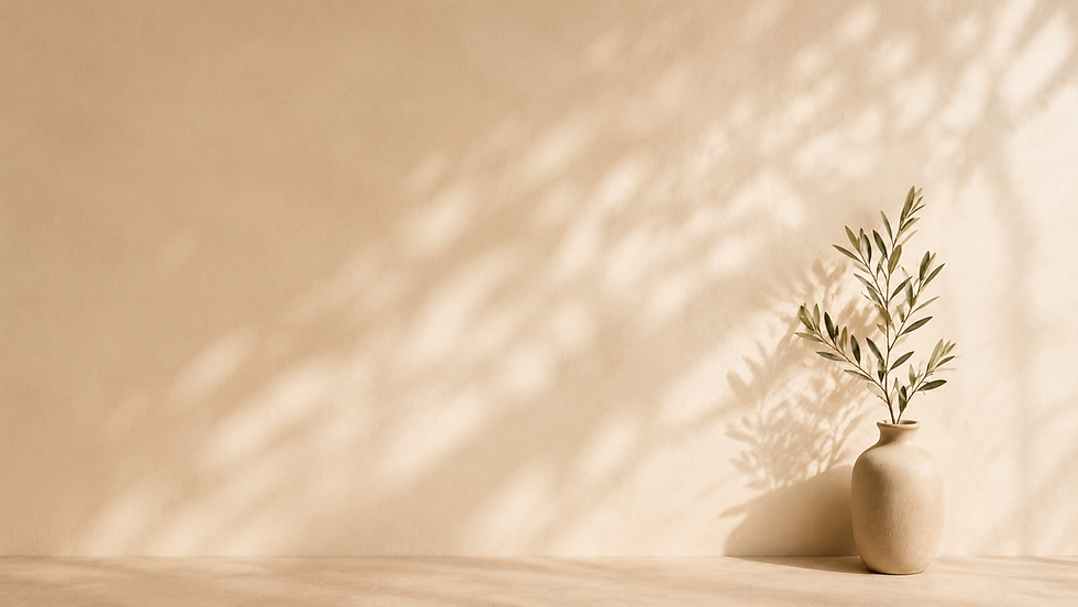 Olive branch in a beige vase against a sunlit wall