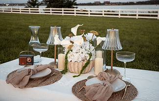 Luxury Picnic