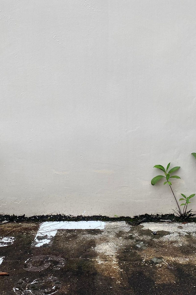 Second Nature