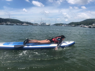 野活直立板