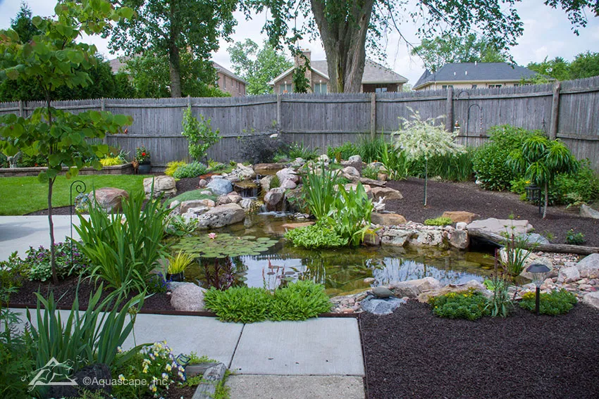 Pond-Kit-Medium.webp