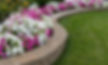 Annuals