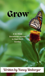 Nancy Umberger Full Cover (1)_edited.jpg